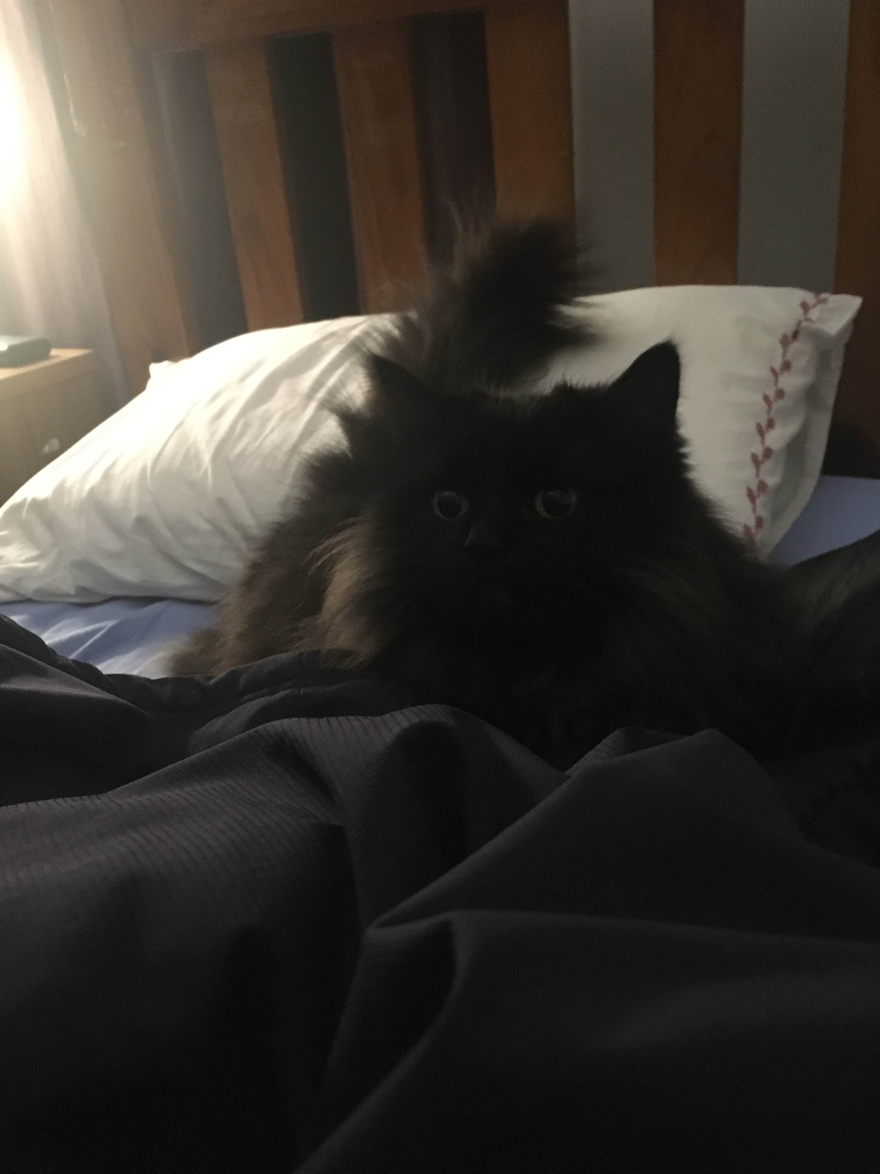 A picture of Simon.
