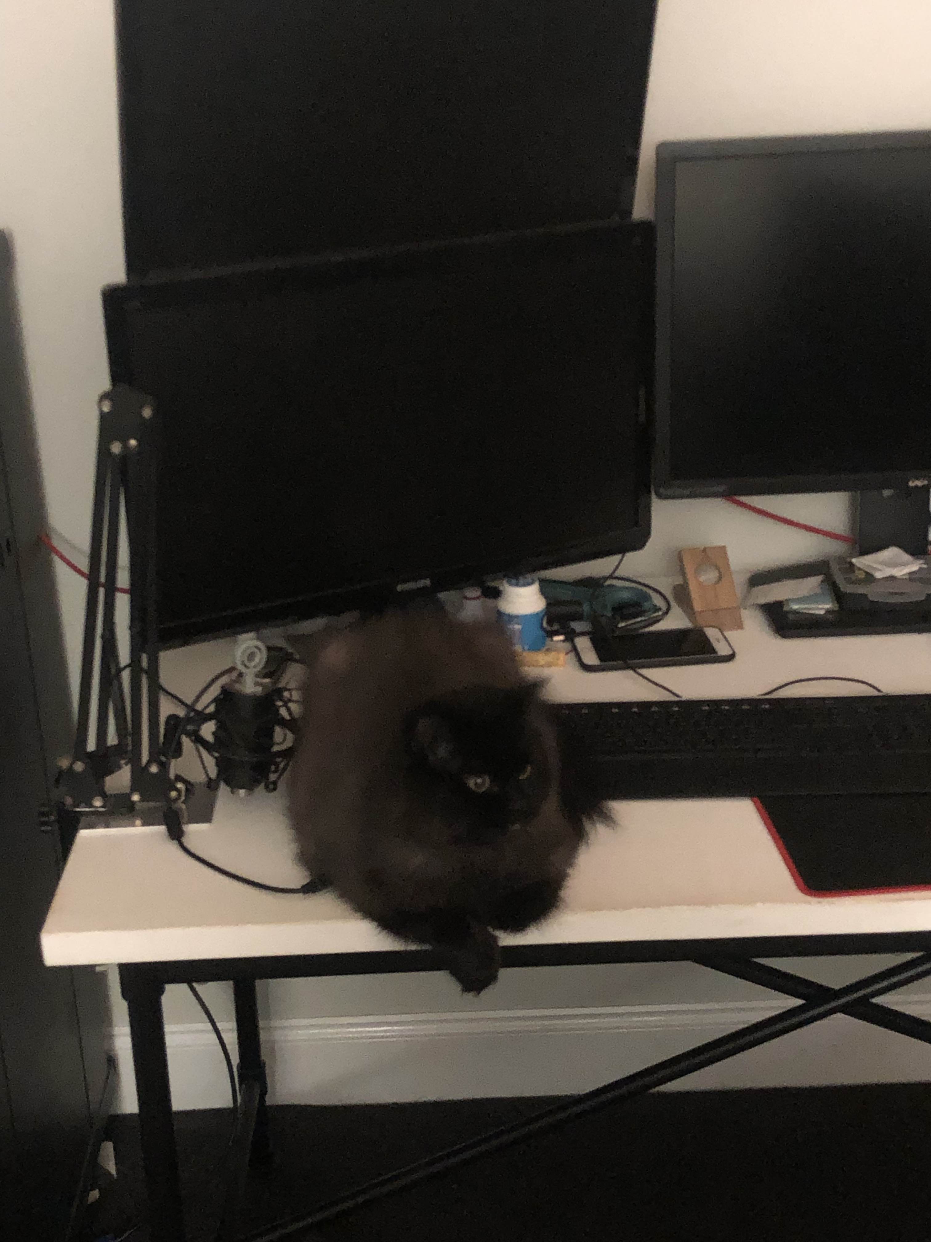 A picture of Simon.