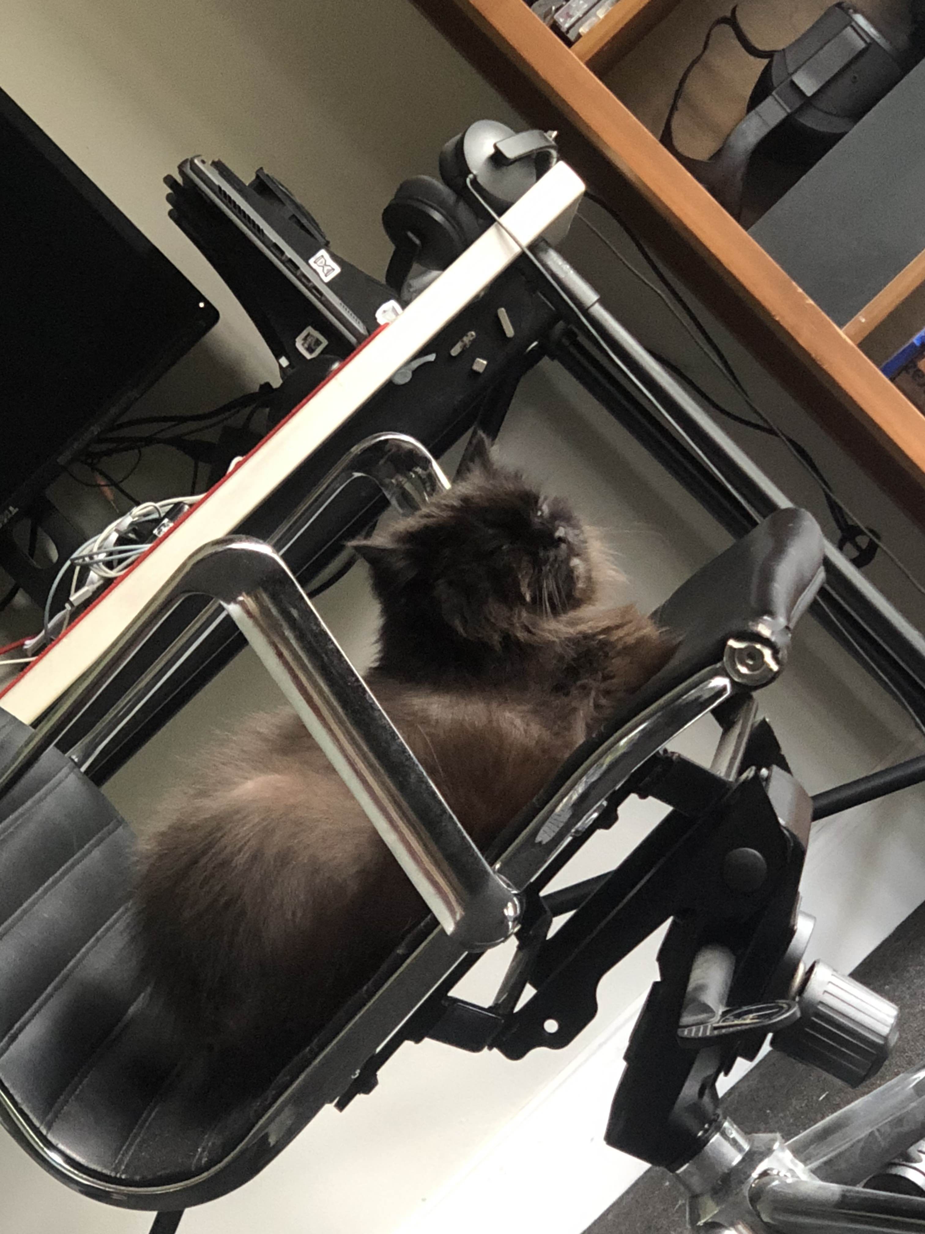 A picture of Simon.
