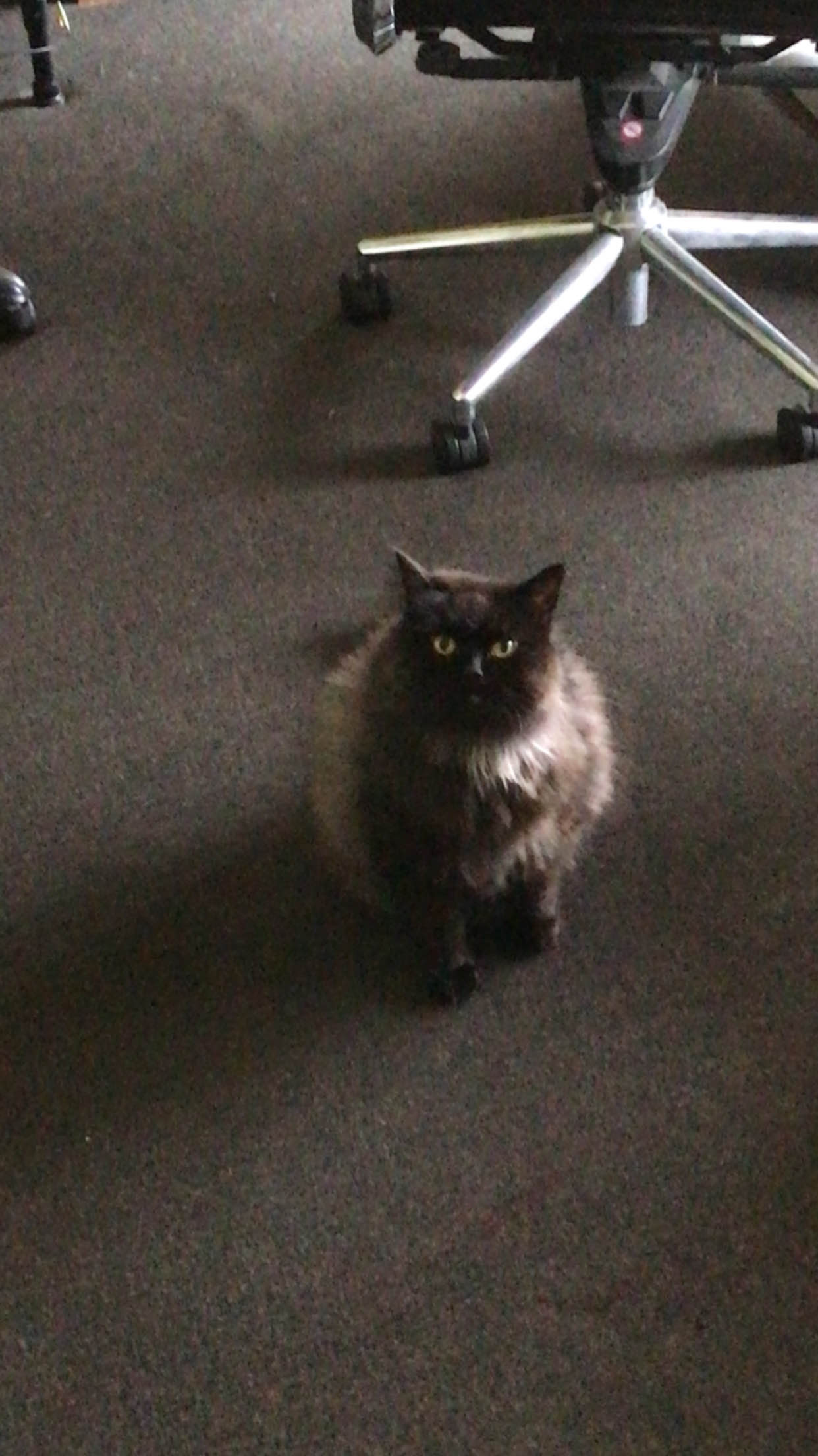 A picture of Simon.